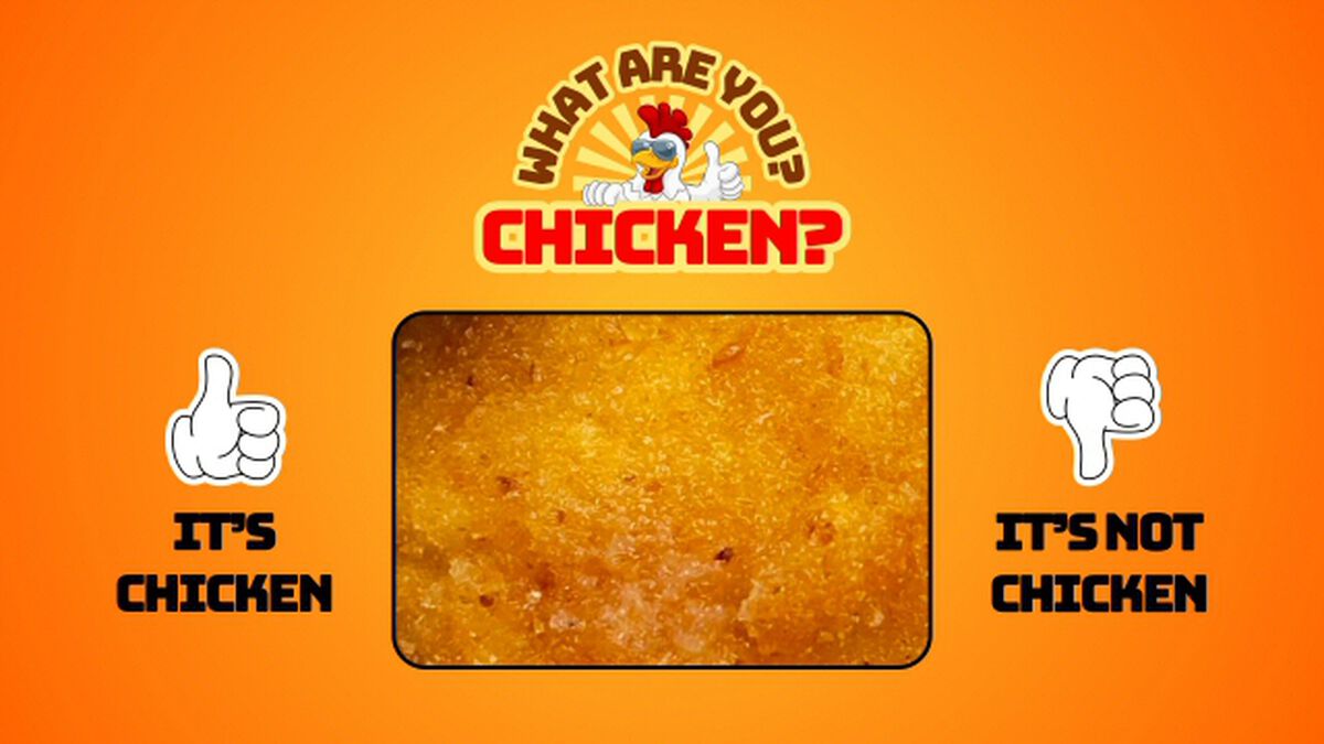 What Are You? Chicken? image number null